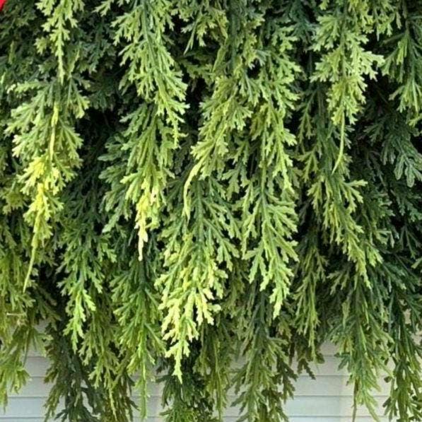 Christmas Wreath for Front Door  Double Door Wreaths Outdoor Seasonal Home Decor Winter Porch Hanger Xmas Tree Swag Holiday Wall Decoration