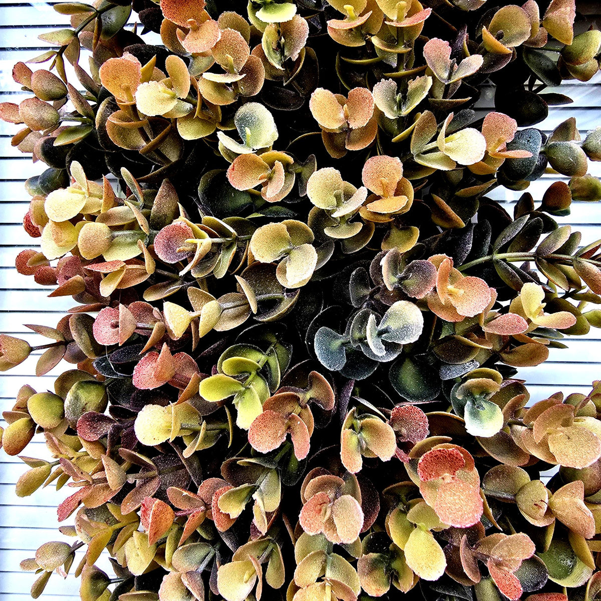 Fall Eucalyptus Boxwood Wreath Oval Farmhouse Front Door Decor, Double Door Wreath, Autumn Decor